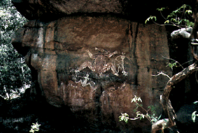 アボリジニーの壁画